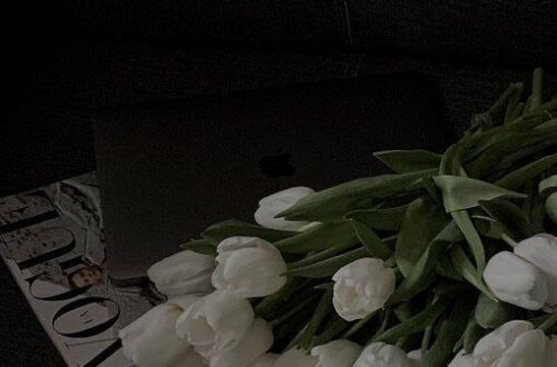 Elevate Your Space with Timeless Floral Elegance Elevate Your Space with Timeless Floral Elegance