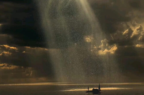 The Wisdom of Silence