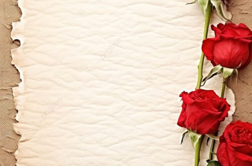 Free Romantic Rose Wallpapers Free Romantic Rose Wallpapers
