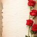 Free Romantic Rose Wallpapers