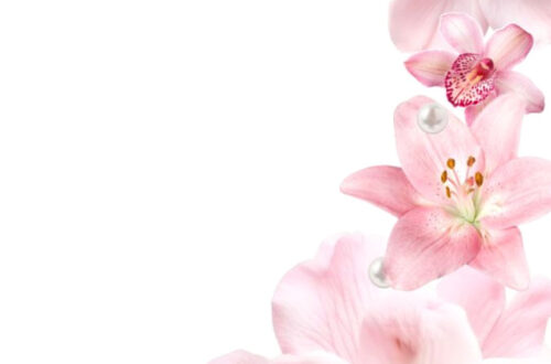 Blossoming Beauty in Every Room Blossoming Beauty in Every Room