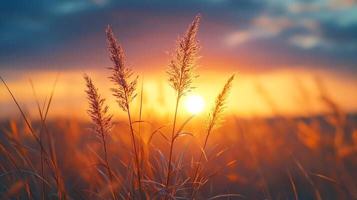 Elevate Your Space with Stunning High-Resolution Nature Views