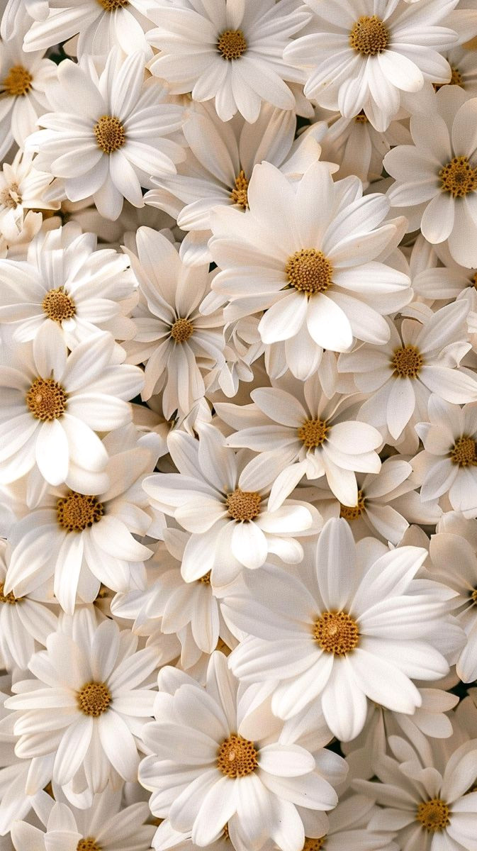 15 Simple Ways to Add White Flowers to Your Home