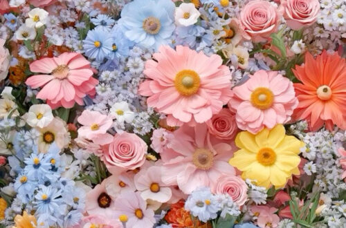 Romantic Rose iPhone Wallpapers to Brighten Up Your Lockscreen