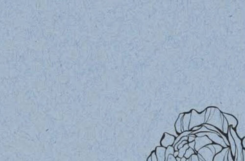 Transform Your Space with Stunning Wallpaper Styles Transform Your Space with Stunning Wallpaper Styles