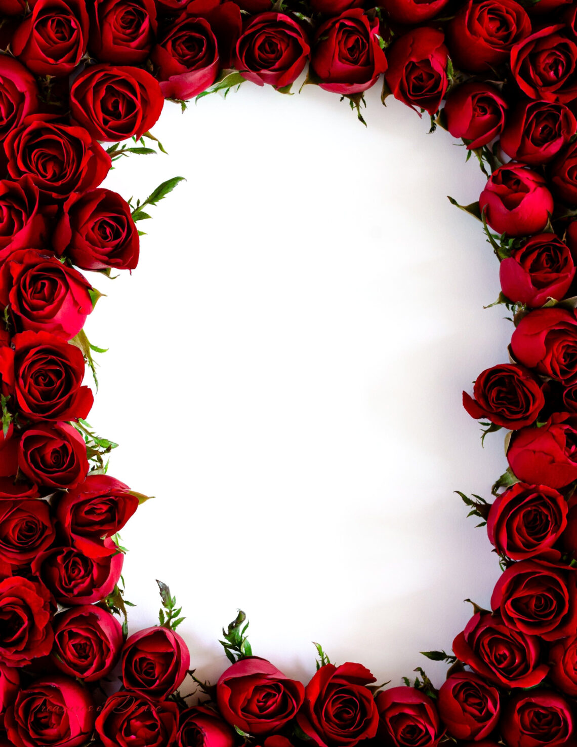 Rose Border Stationery