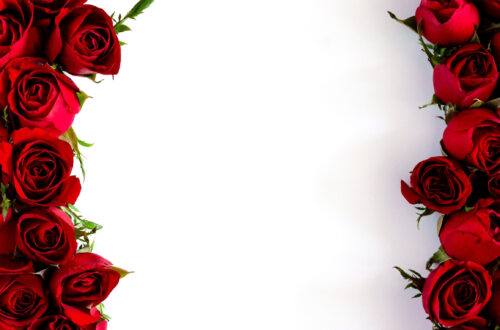 Rose Border Stationery