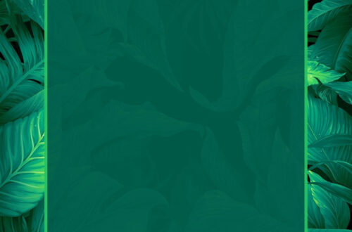 Download Free Green Leaf Background Wallpaper Now