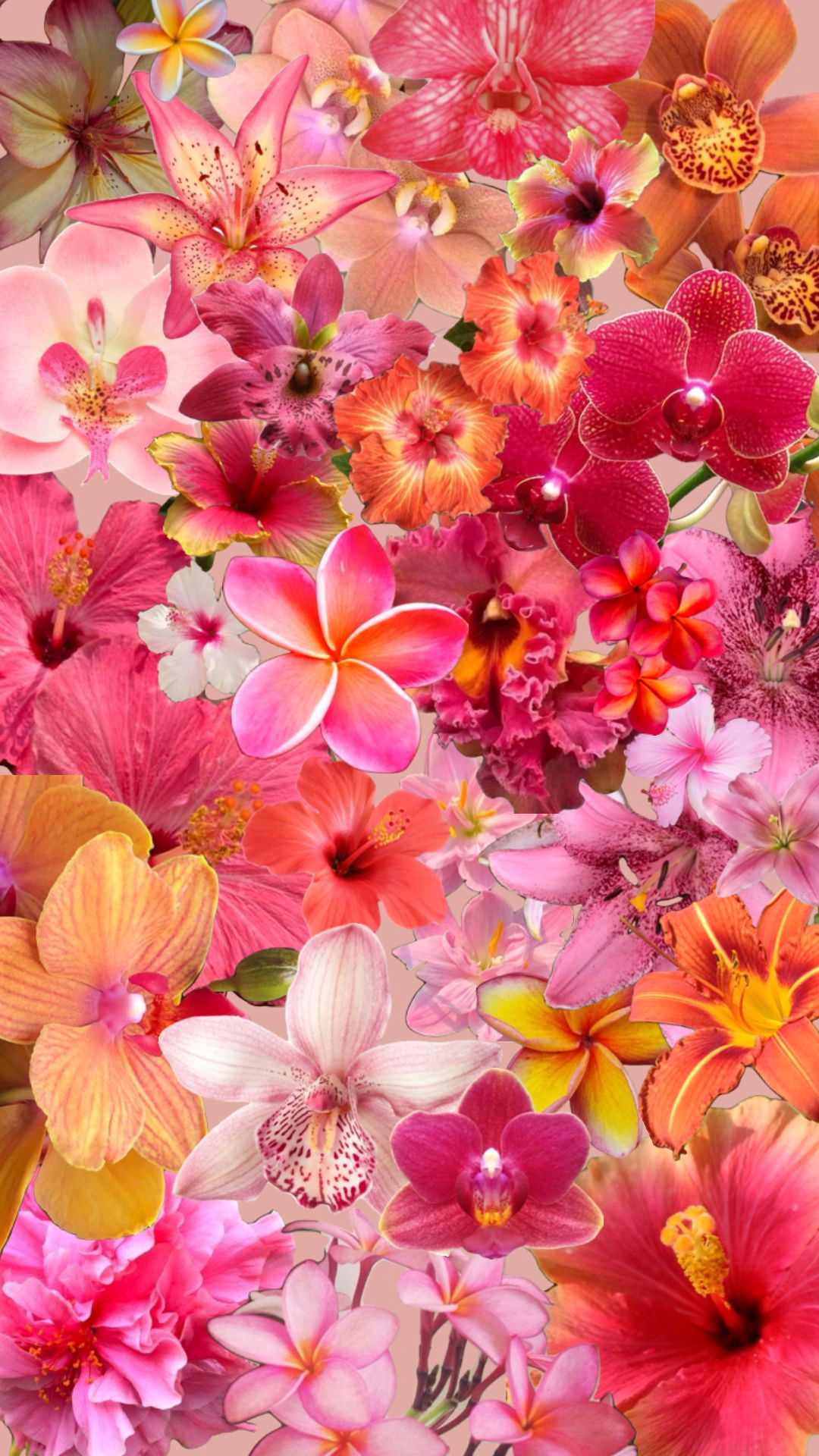 Blossoms of a Golden Sunset