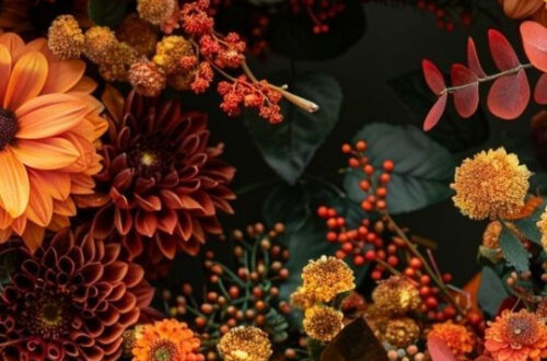 Thanksgiving Bundle Deal: Get It Free!