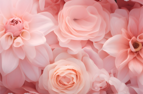 Pink iPhone Wallpapers: 100+ Free 4K HD Downloads