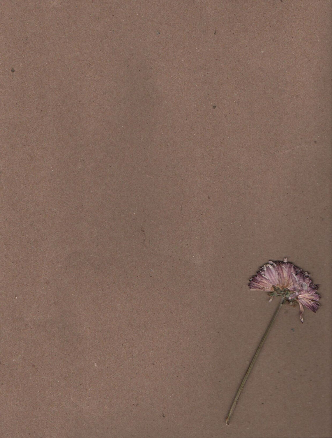 Create a Writing Journal with a Dreamy Purple Dried Flower