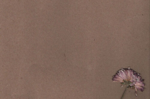 Create a Writing Journal with a Dreamy Purple Dried Flower