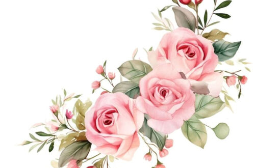 Rosa Flor Clipart — Free Premium Images Rosa Flor Clipart — Free Premium Images