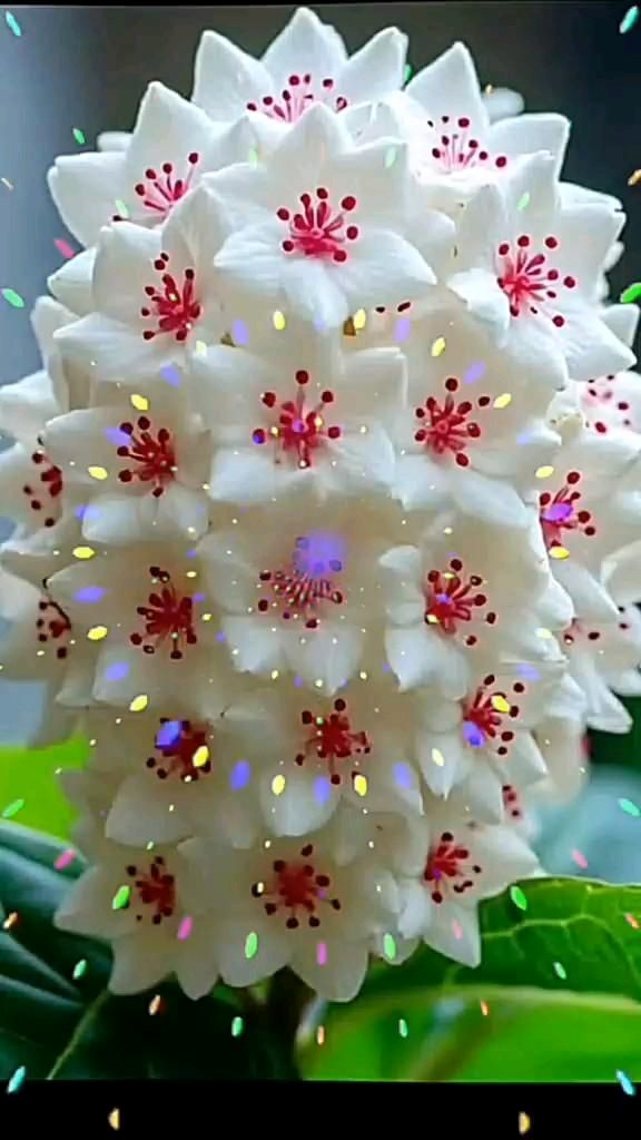 Serenity in the Wild