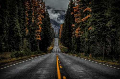 Dazzling High Definition Wallpapers Dazzling High Definition Wallpapers