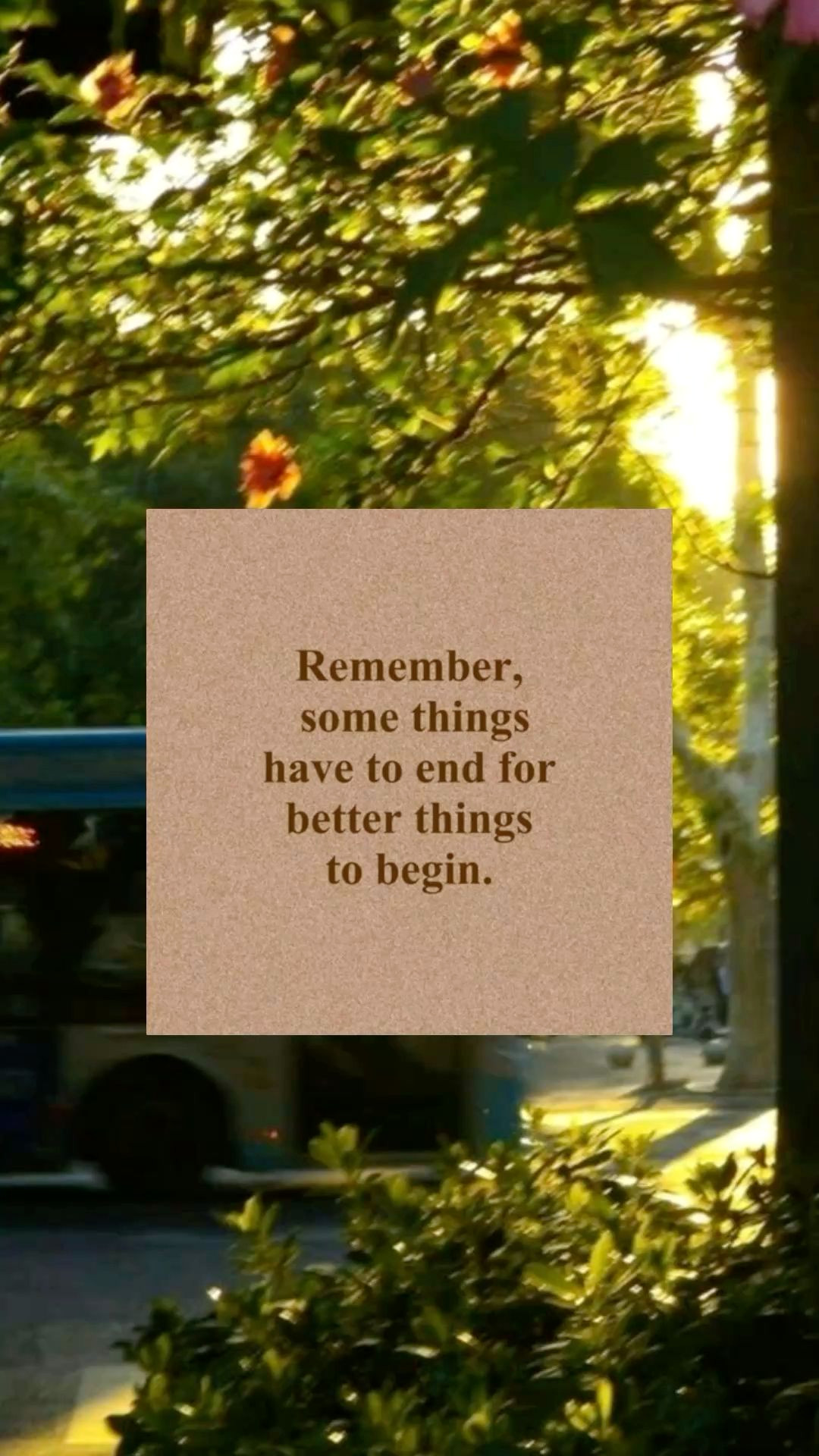 Boost Your Mood with Nature Inspired Motivation