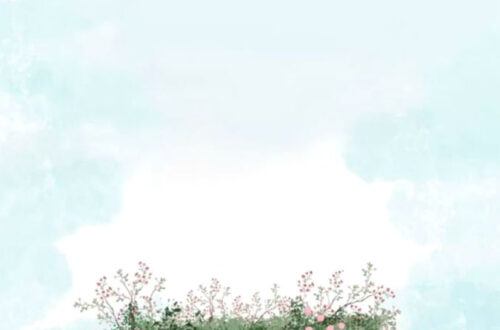 The Ultimate Wedding Planning Guide The Ultimate Wedding Planning Guide