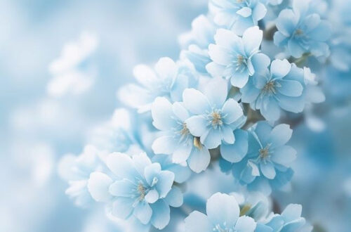 Stunning Blue Wallpapers for Your iPhone