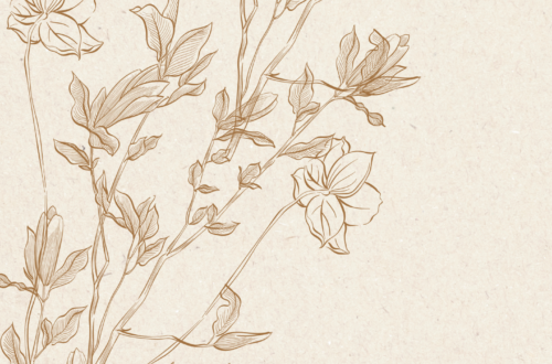 Spring into Chic: Top Wallpaper Trends Now Spring into Chic: Top Wallpaper Trends Now