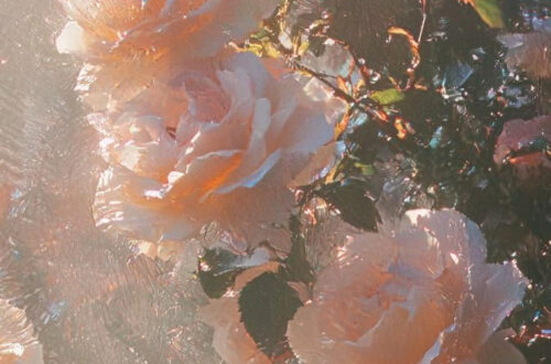 Romantic Rose Wallpaper Ideas Romantic Rose Wallpaper Ideas