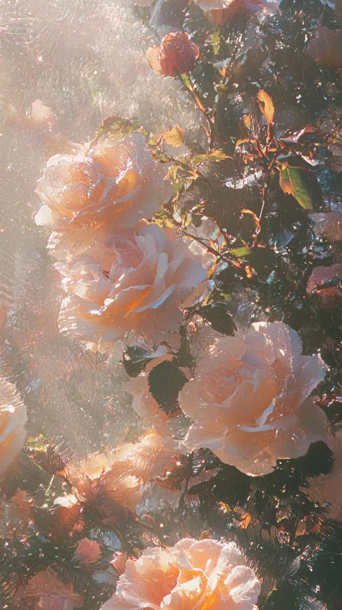 Romantic Rose Wallpaper Ideas