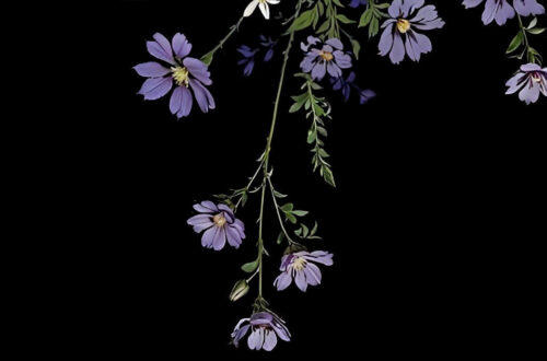 Transform Your Space with Fresh Wall Decals Today Transform Your Space with Fresh Wall Decals Today