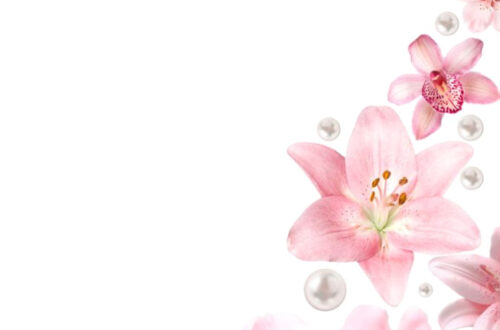 Sweet Pastel Blooms: Dreamy Pink Florals Sweet Pastel Blooms: Dreamy Pink Florals