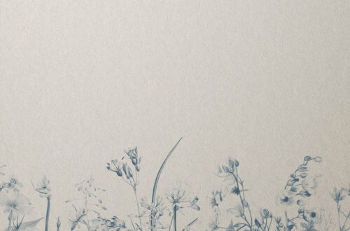 Discover the Magic of Visual Storytelling