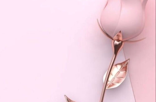 Sneak a Peek Inside This Amazing Space