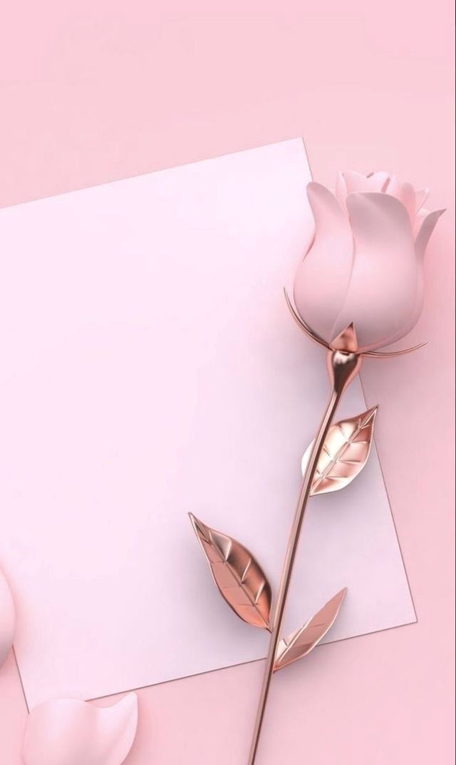 Sneak a Peek Inside This Amazing Space