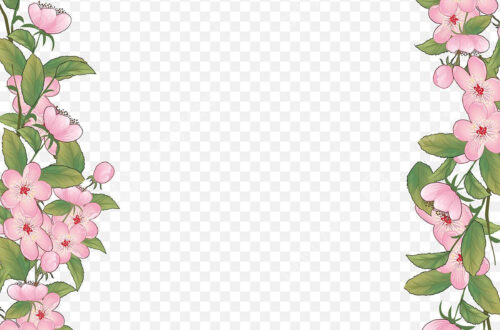 Free Pink Flower Border PNG