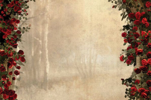 Blush Love: 6′ Rose Archway Backdrop for the Dream Wedding Blush Love: 6′ Rose Archway Backdrop for the Dream Wedding