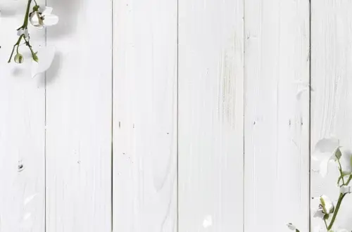 Dainty Blooms on Snowy Wood