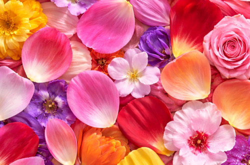 Unlock the Power of Self-Discovery