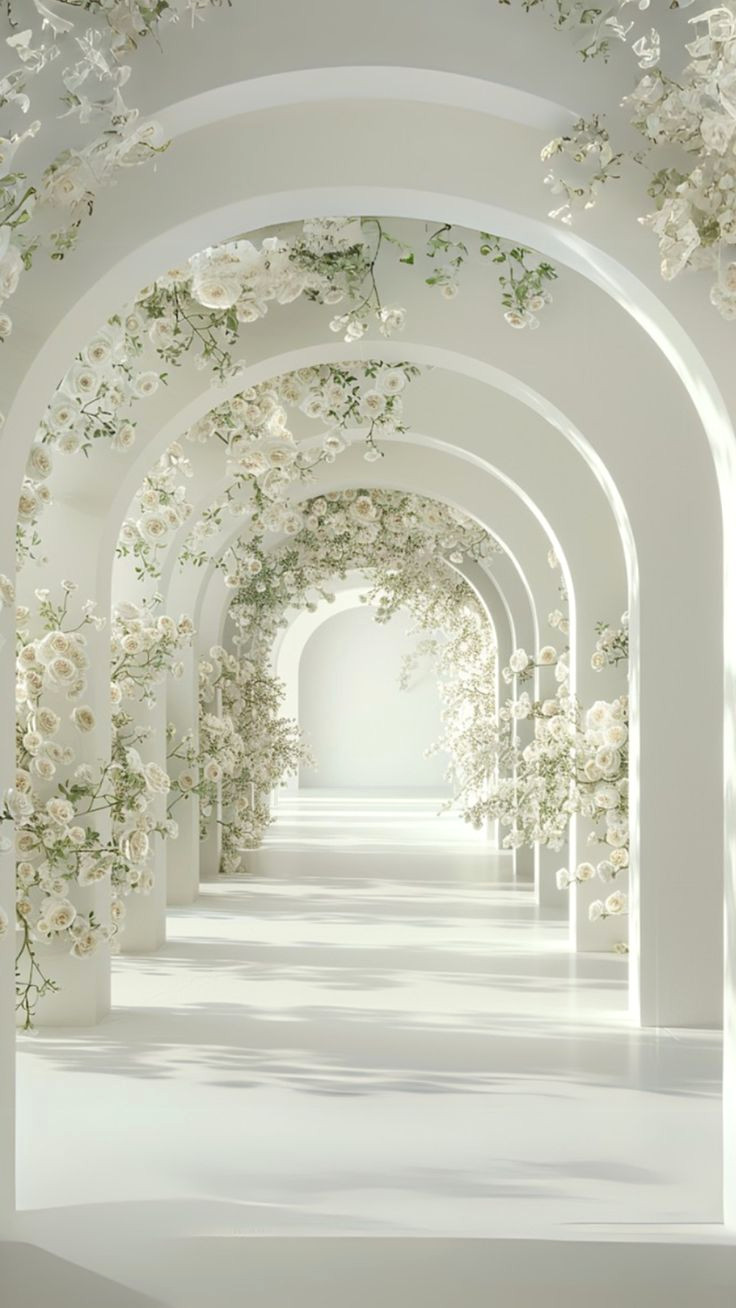 Discovering Omowunmi