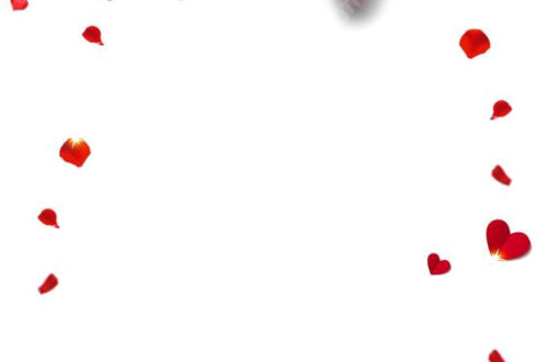 Romantic Red Rose Backgrounds for Valentine’s Day