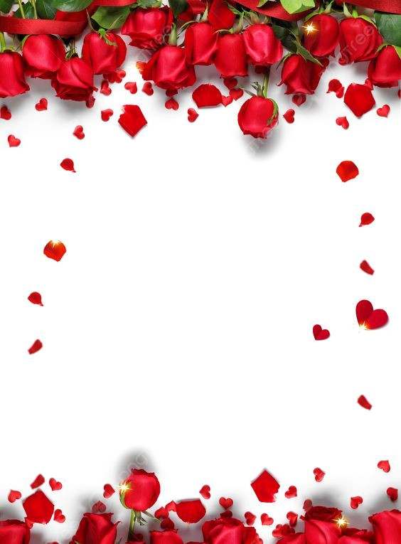 Romantic Red Rose Backgrounds for Valentine’s Day