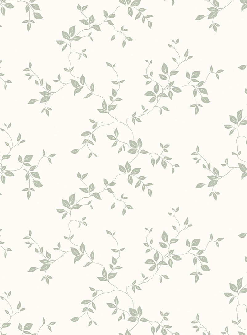 Decorate with Ease: Wallpaper & Wall Stickers