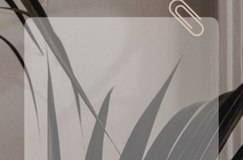 Transform Your Space with Proven Interior Design Templates Transform Your Space with Proven Interior Design Templates