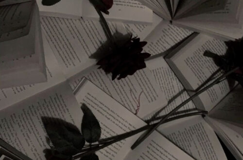 When Dark Romance Makes a Dramatic Entrance