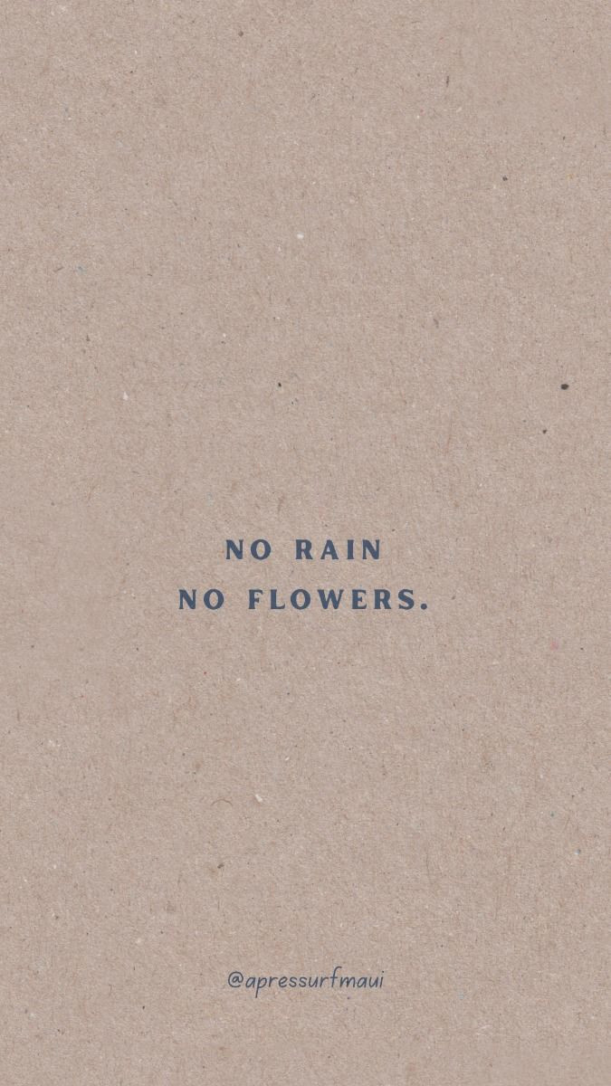 Bloom in Every Weather