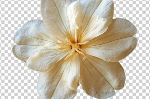 Unlock Endless Creative Possibilities with AI