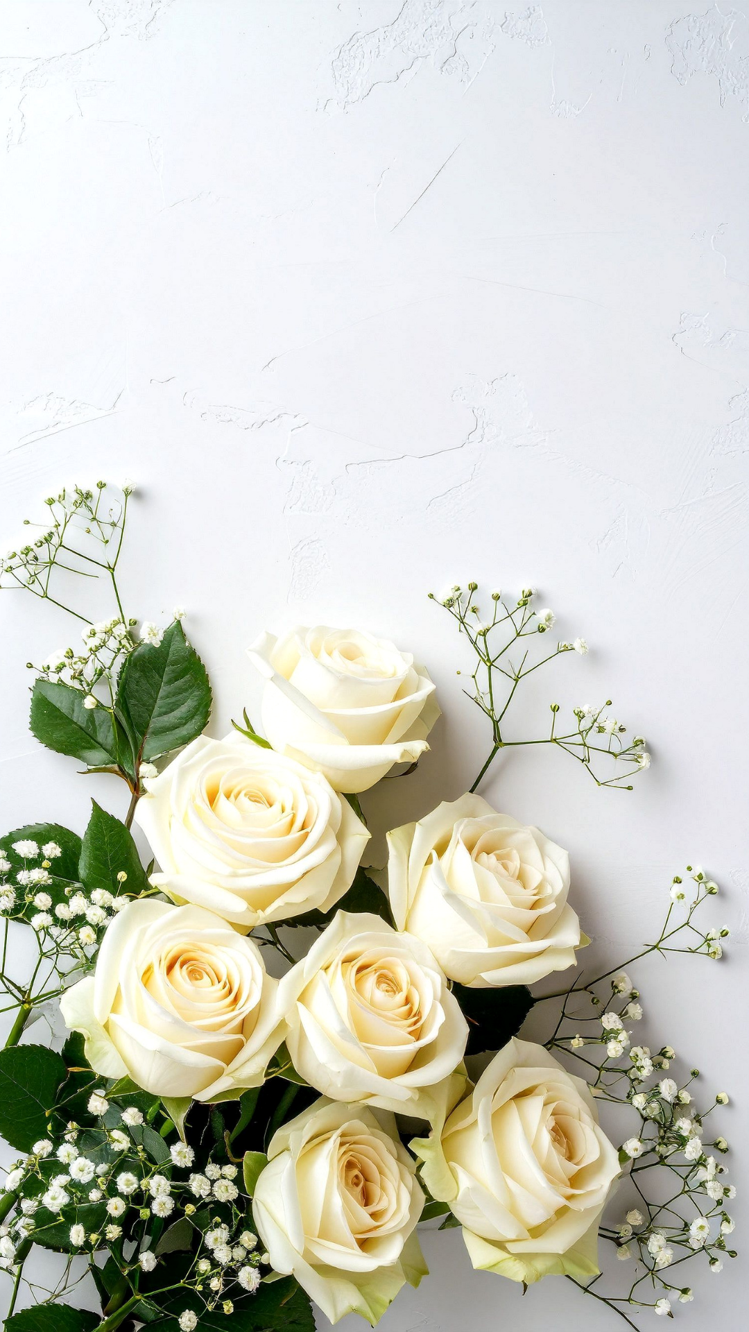 Whispers of Romance: Elegant Roses & Baby’s Breath Blooms