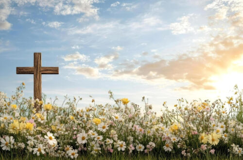 Free Blissful Landscape Photos