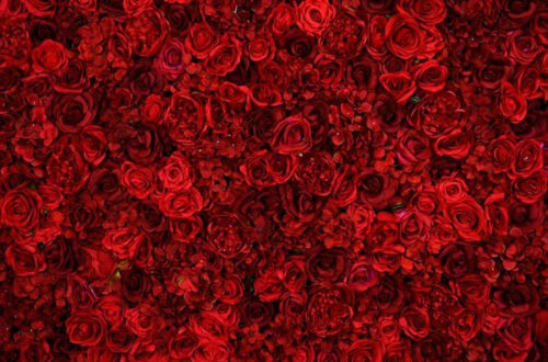 Elevate Your Home with a Stunning Digital Backdrop