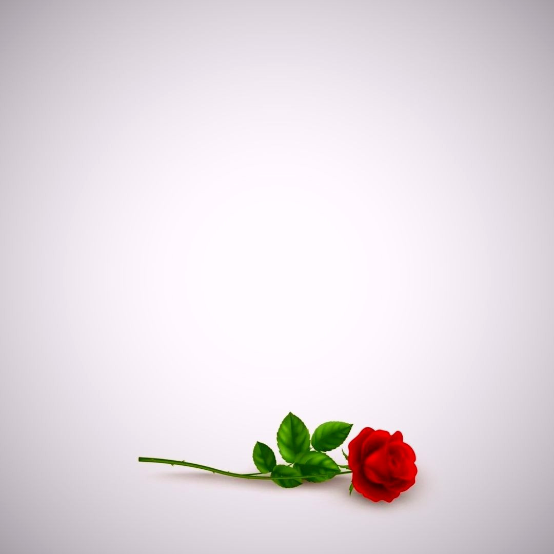 Elegant Background Template For Quotes