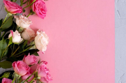 Pastel Pink Romance: Adorable Valentine’s Day Photo Backdrops Pastel Pink Romance: Adorable Valentine’s Day Photo Backdrops