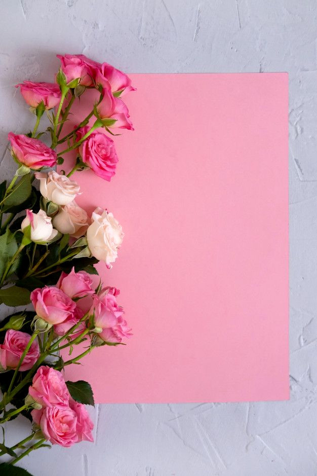 Pastel Pink Romance: Adorable Valentine’s Day Photo Backdrops