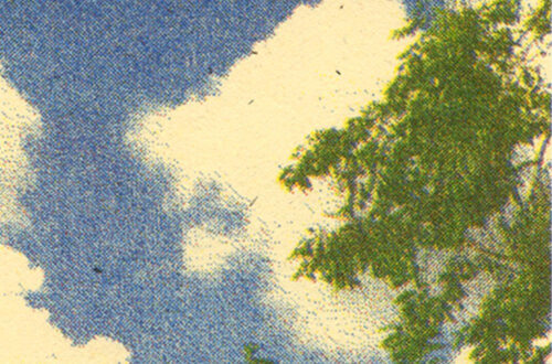 Cozy Sunroom Wallpapers to Transform Your Space